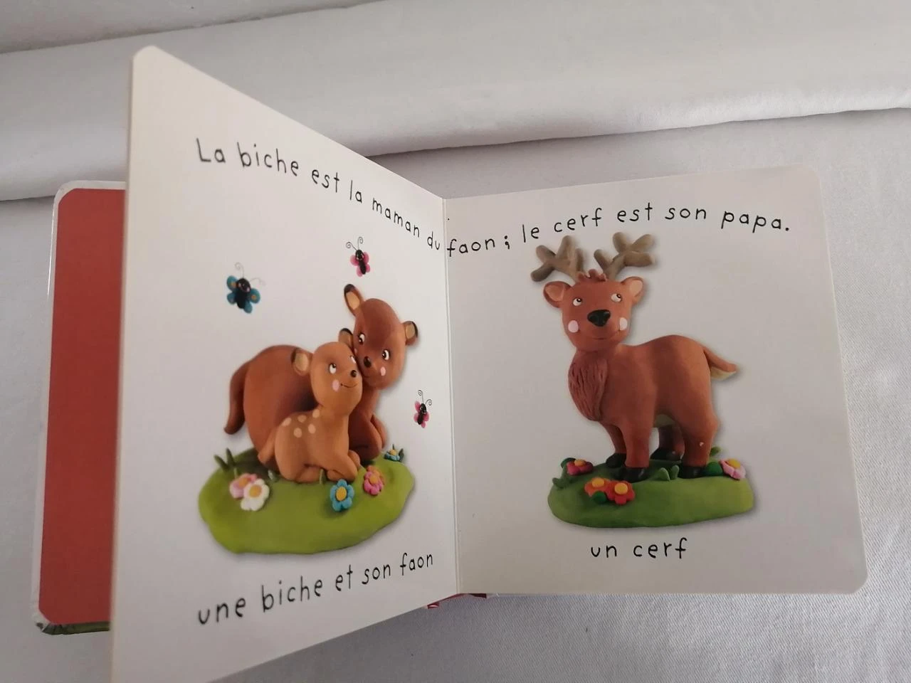 l'imagerie des bébés - la forït – photo 3